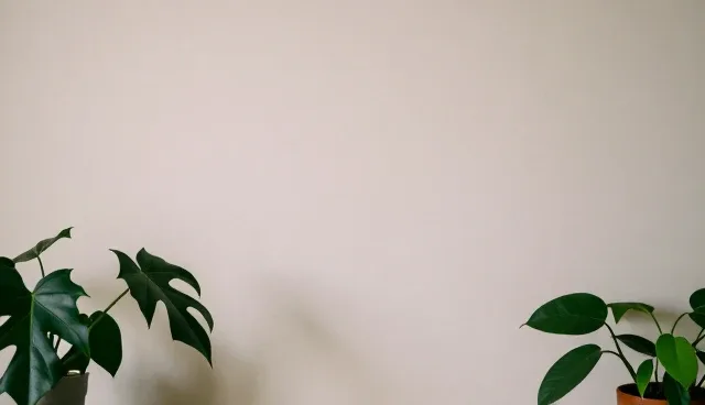 电商销售服务采购优化中的库存管理与物流协调